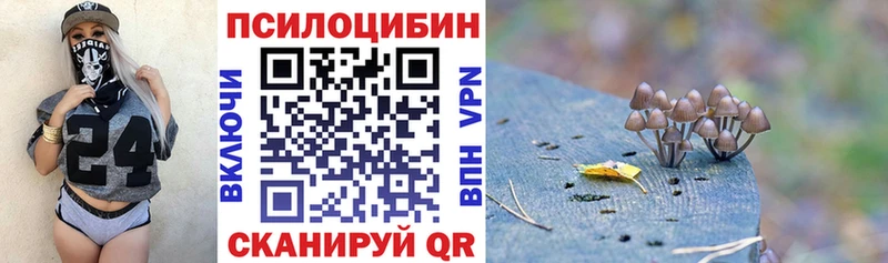 Галлюциногенные грибы Magic Shrooms  цены   Высоковск 